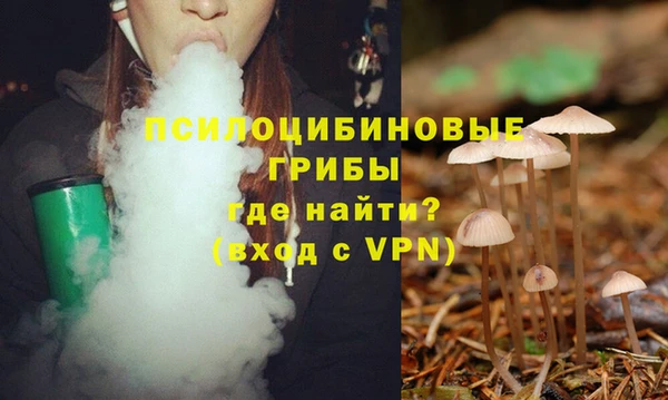 jwh Ельня
