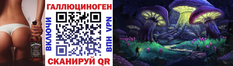 Псилоцибиновые грибы MAGIC MUSHROOMS  Купить закладки  Канаш 